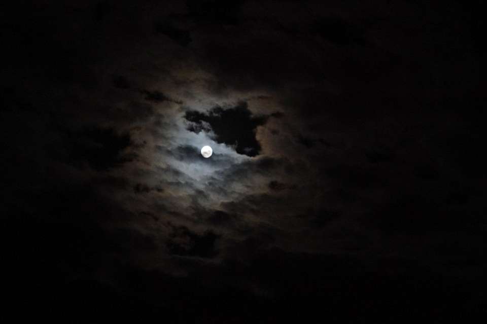 Беспилотную опасность объявили ночью 2 февраля в Воронежской области