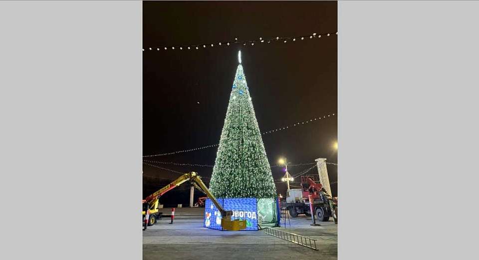 В Воронеже почти собрали новогоднюю елку на Адмиралтейской площади