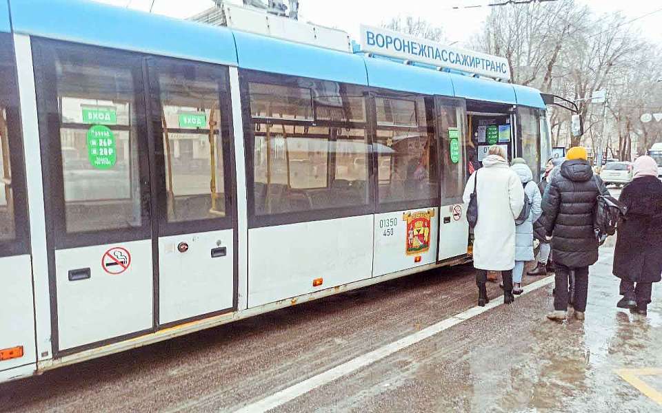 Воронежцам напомнили про день рождения городского троллейбуса