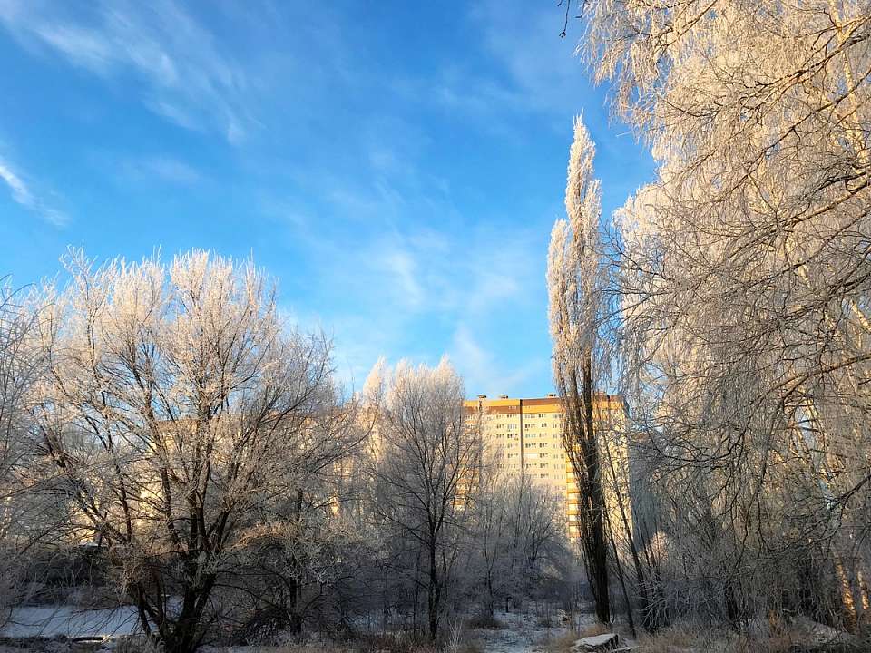 В МЧС предупредили воронежцев о 22-градусных морозах