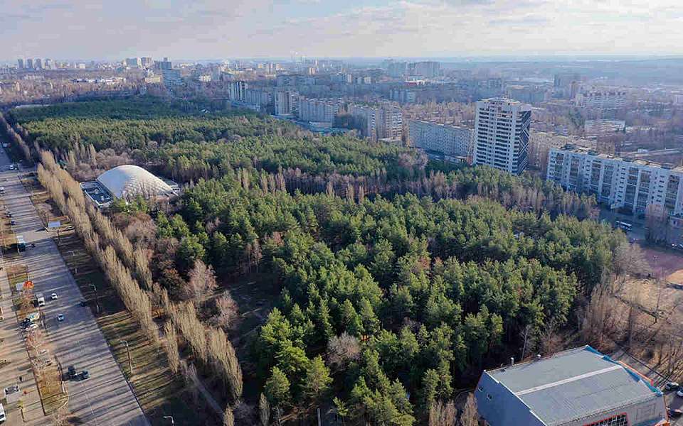 Концессионер парка «Дельфин» заявил о своих намерениях в отношении парка «Танаис» в Воронеже