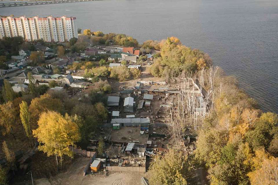 Злополучный приют «Дора» переедет за пределы Воронежа до наступления зимы