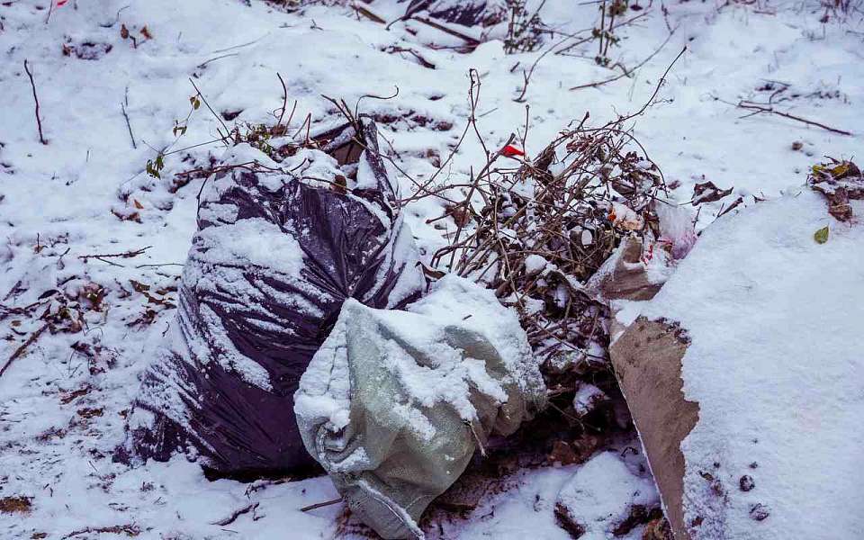 Пути отхода. О ситуации с вывозом мусора в центре Воронежа