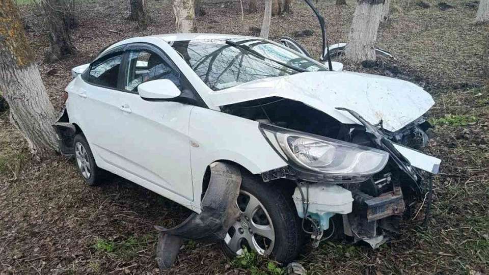 В ДТП с деревом на воронежской трассе пострадали мать с 7-летним сыном