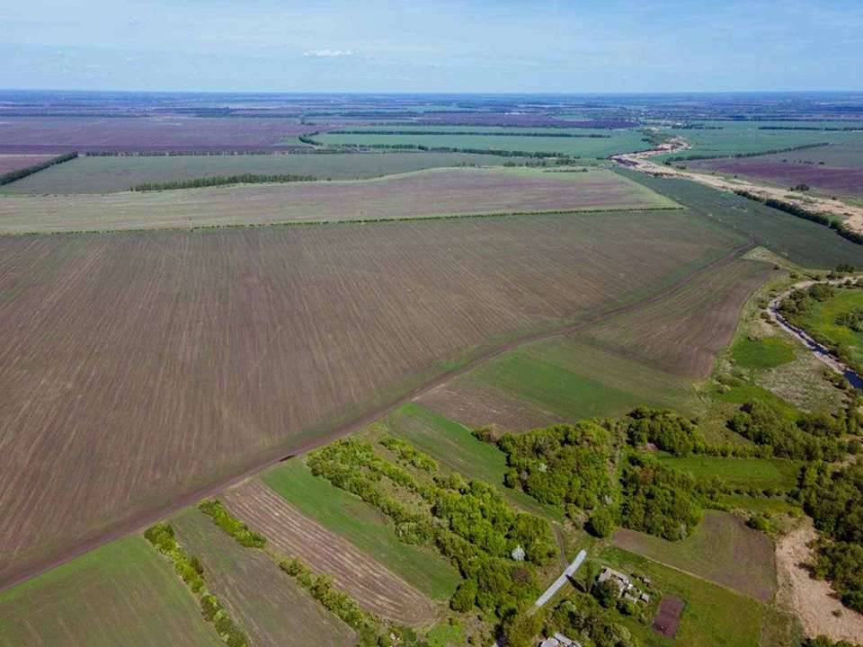 Почти вдвое сократился импорт пестицидов в Воронежскую область