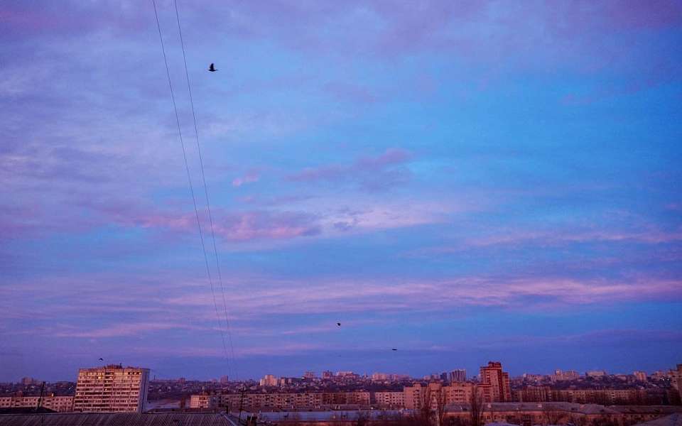 Морозный и бесснежный день ожидает воронежцев 24 декабря