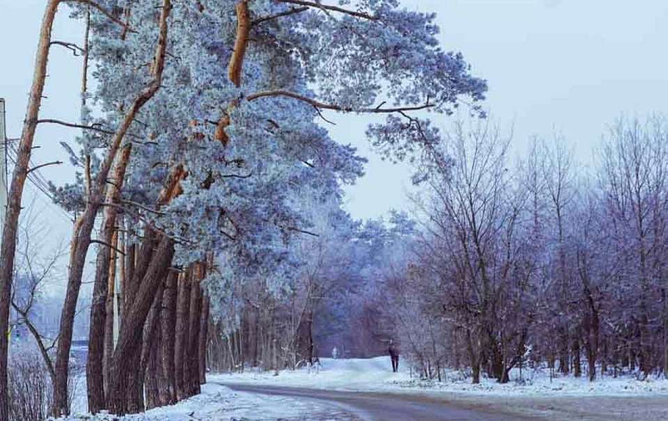 Резкое похолодание ожидает воронежцев 23 декабря 