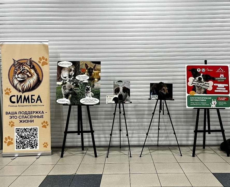 На фотовыставку с животными из муниципального приюта пригласили жителей Воронежа