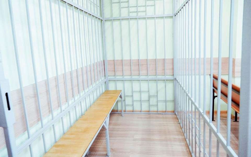На 7 лет в колонию строгого режима отправил суд главу «Русского аппетита» в Воронеже