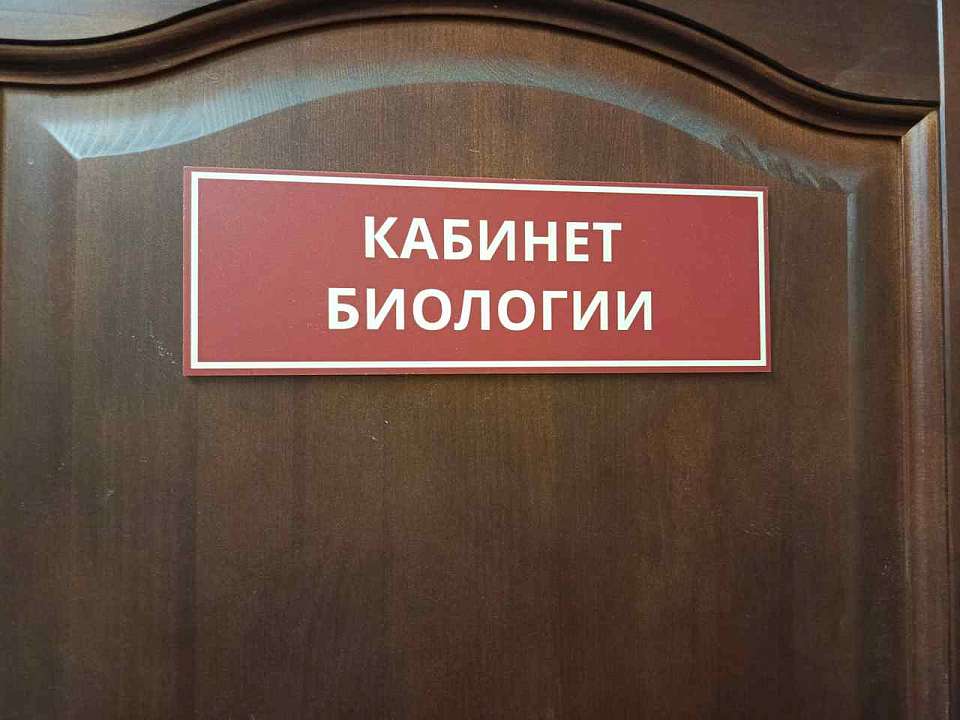 По результатам ЕГЭ по двум дисциплинам Воронежская область вошла в лидеры