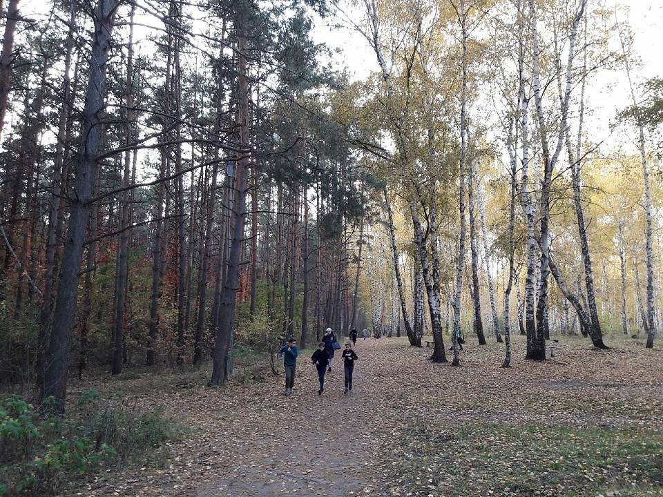 На первой рабочей неделе апреля в Воронеже потеплеет до +14 градусов