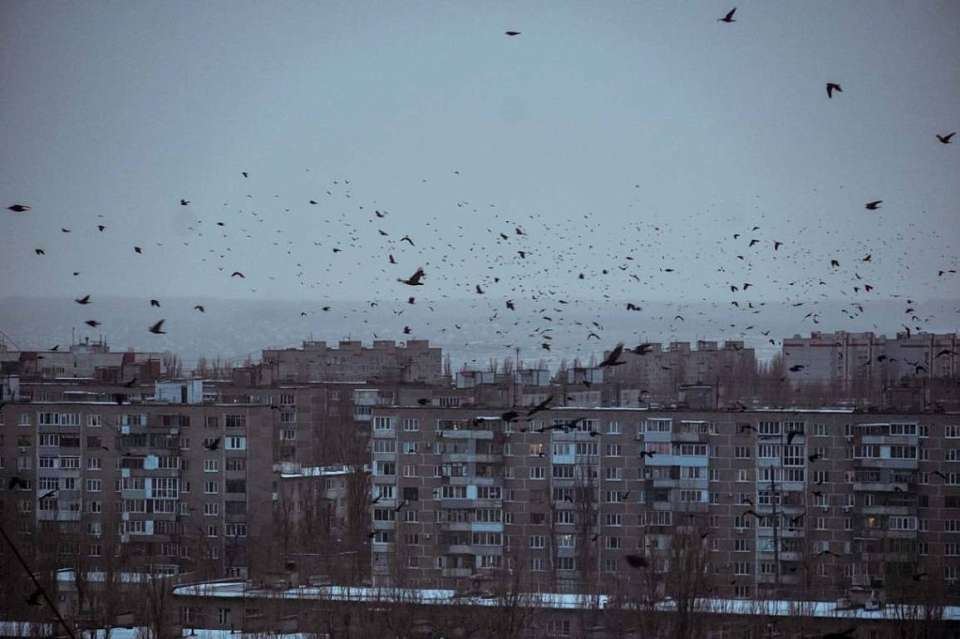 О погоде на вторник, 4 февраля, рассказали воронежские синоптики