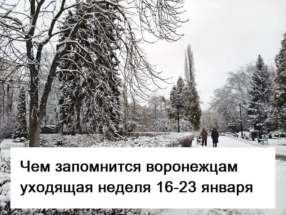 Чем запомнилась в Воронеже неделя с 16 по 23 января