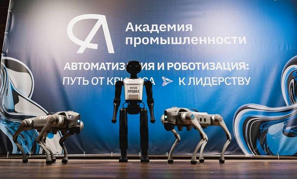 Первый в России закон о поддержке роботизации промышленности приняли в Воронежской области