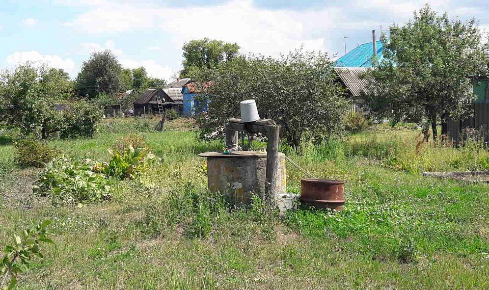 Карантин по бешенству сняли в двух воронежских сёлах
