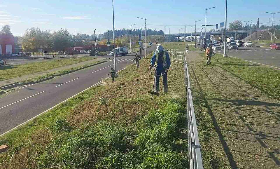 Несмотря на наступление осени, в Железнодорожном районе продолжают ухаживать за газонами