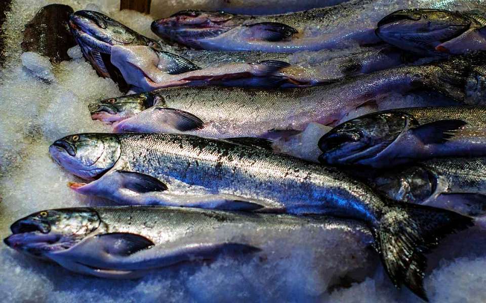 Более 4,5 тонны фальсифицированных продуктов изъяли в Воронежской области