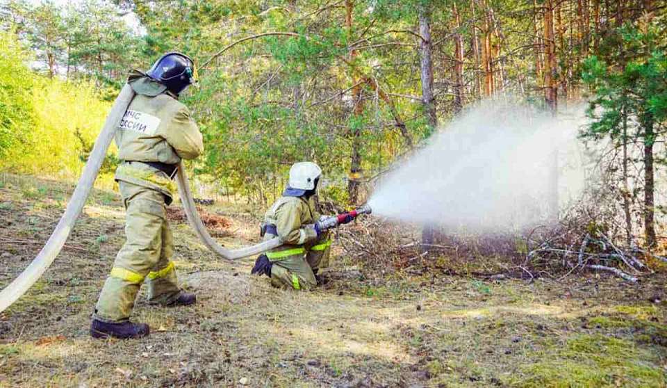 Лесной пожар у больницы №8 в Воронеже локализован