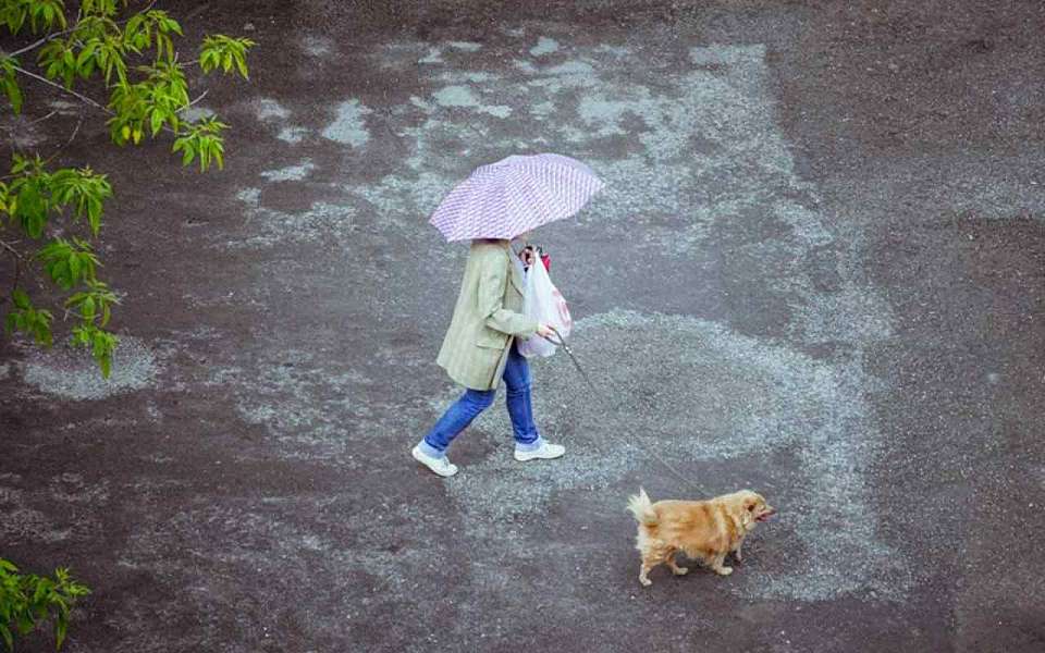 Дождь и гроза ожидаются 22 августа в Воронеже и области