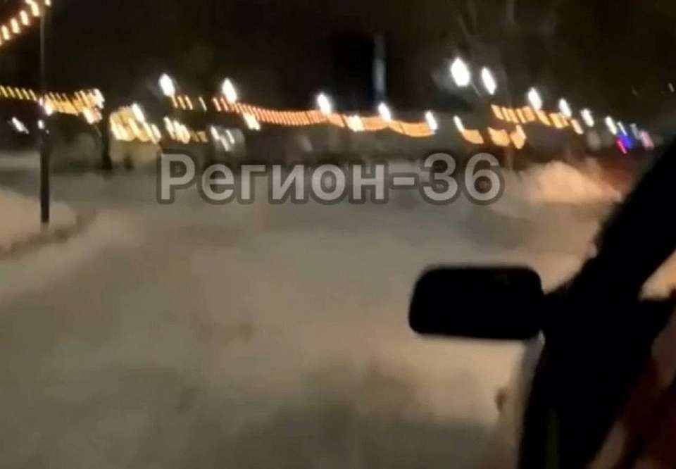 Хамские гонки по дорожкам парка в Воронеже сняли на видео