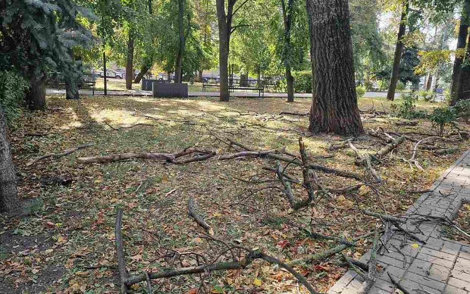 Обрезку деревьев начали в центре Воронежа