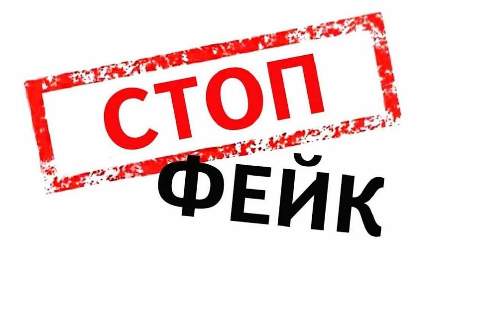 Правительство Воронежской области опровергло сообщения о разбросанных диверсантами минах «Лепесток»