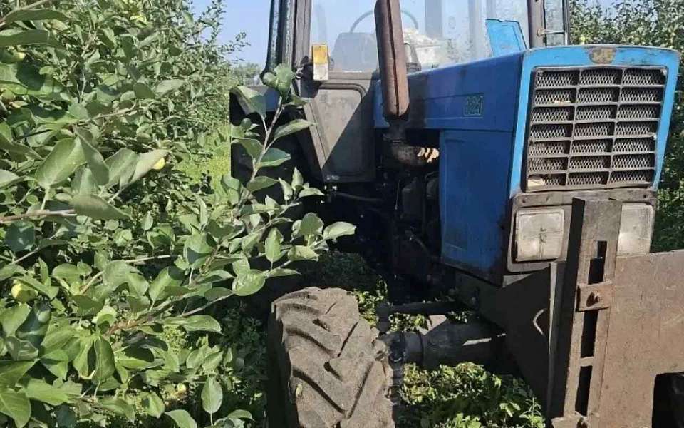 Тракторист насмерть задавил пенсионера в саду под Воронежем