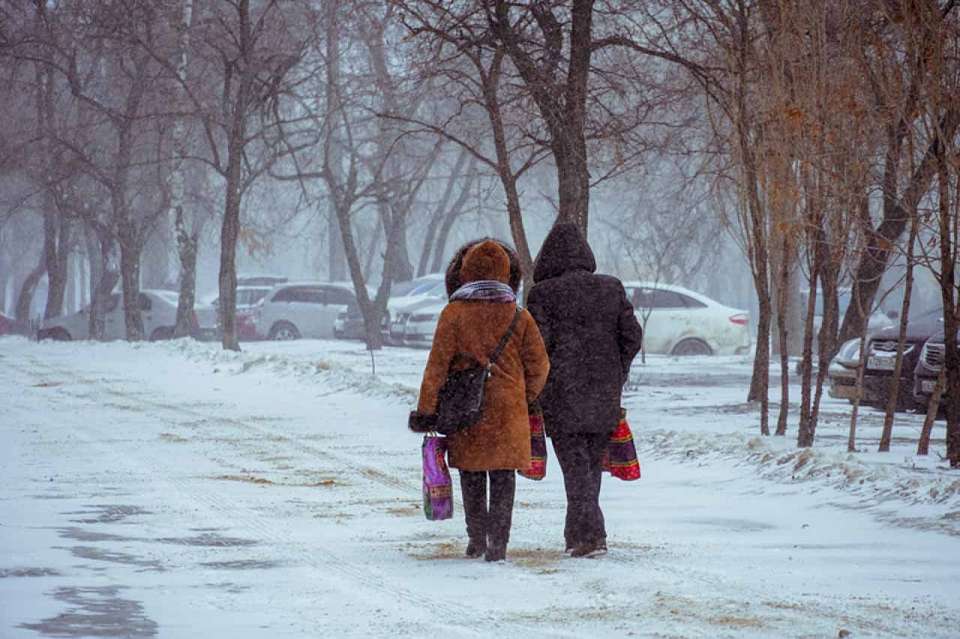 Снегопад придет в конце рабочей недели в Воронежскую область