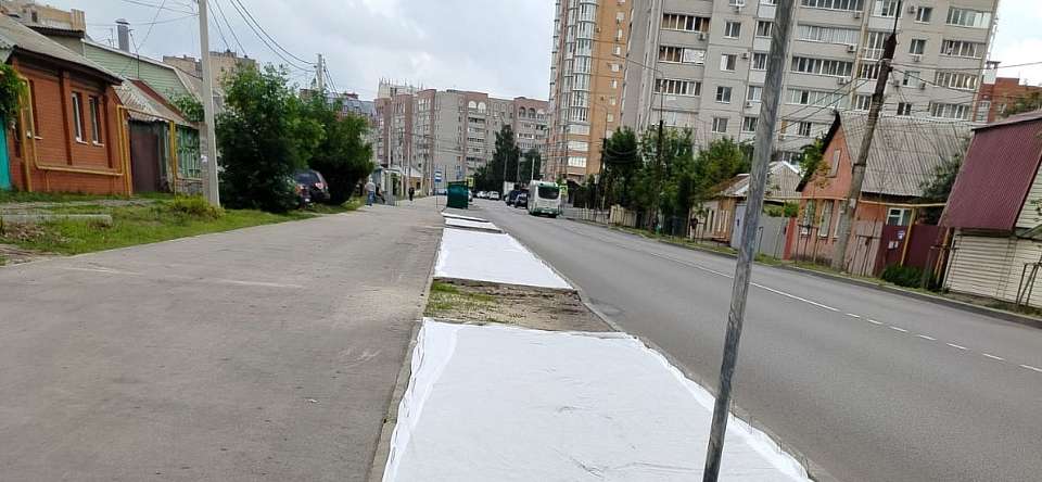 Озеленение в Ленинском районе: новые газоны на улице Краснознаменной