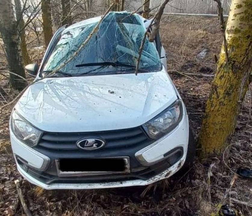 Во врезавшемся в дерево в Воронежской области автомобиле пострадал 34-летний водитель