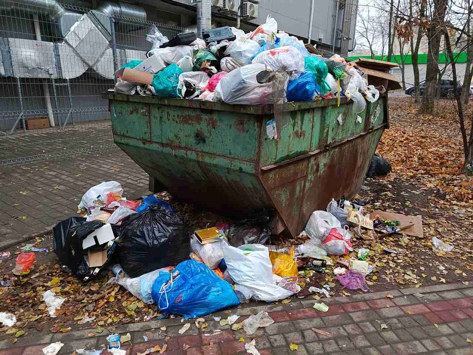 В Воронежской области вновь ищут подрядчиков для строительства двух полигонов ТКО за 2,4 млрд