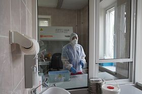 251 житель Воронежской области заболел коронавирусом за последние сутки