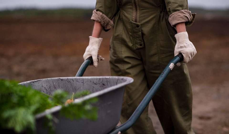 Разбирательства в истории о «рабстве» в Воронежской области продолжаются
