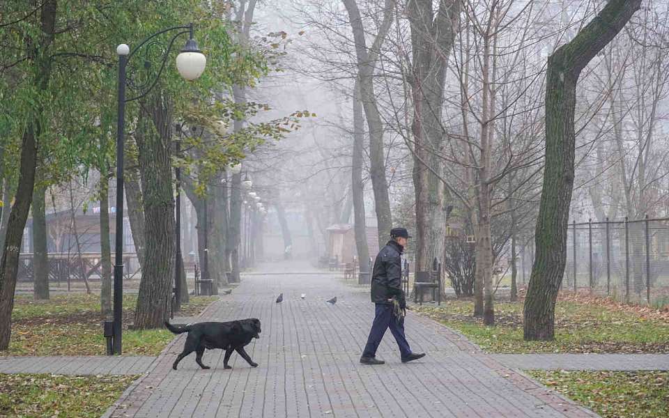 Опасное погодное явление дважды за сутки накроет Воронежскую область