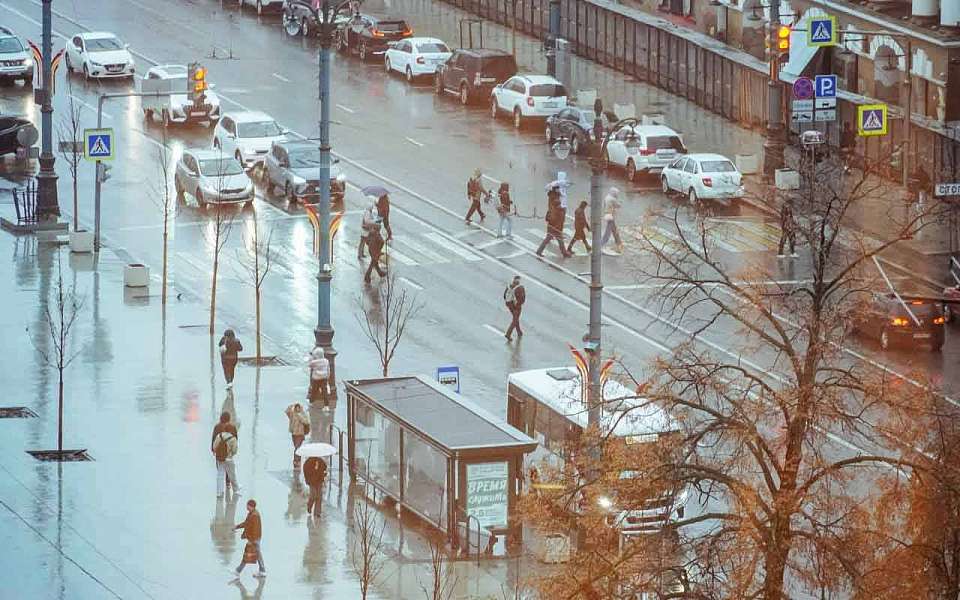 Потепление до +15 и дожди ожидаются в выходные в Воронежской области