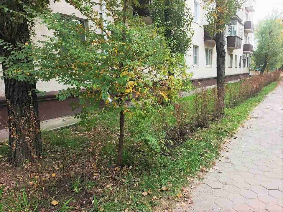 В Железнодорожном районе становится больше зелени