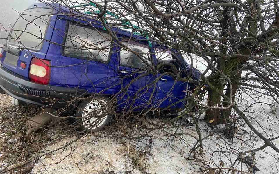 Пенсионеры на легковушке разбились в ДТП с деревом в Воронежской области