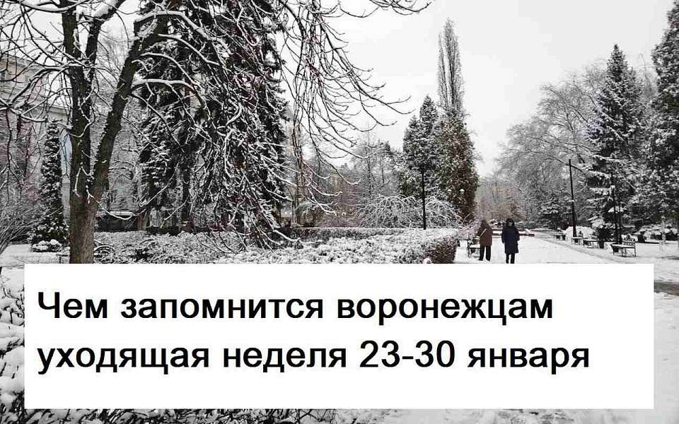 Чем запомнилась в Воронеже неделя с 23 по 30 января 
