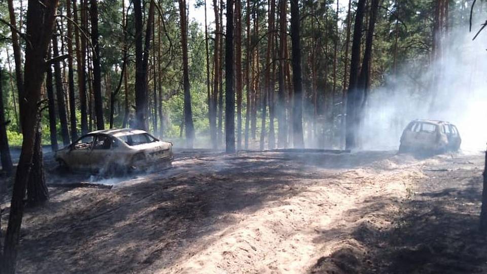 В Воронежской области два автомобиля сгорели сами и сожгли лес