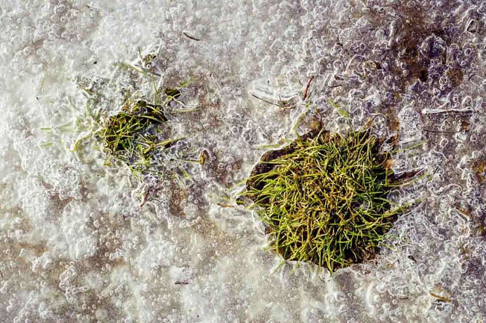 От -19 до -2 градусов потеплеет на рабочей неделе в Воронежской области