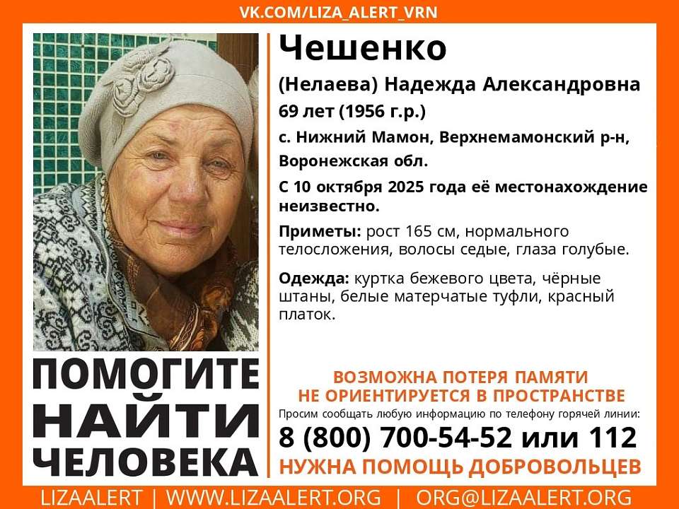 Волонтеры «Лизы Алерт» начали поиски пропавшей в Воронежской области женщины