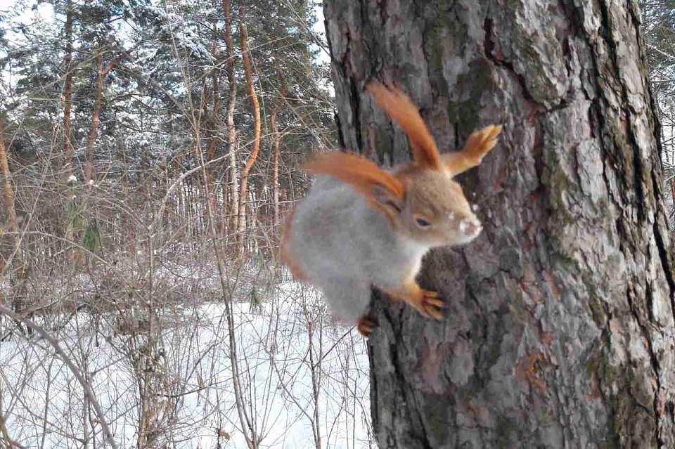 Воронежскую область ожидает резкое похолодание и снегопад перед 8 Марта