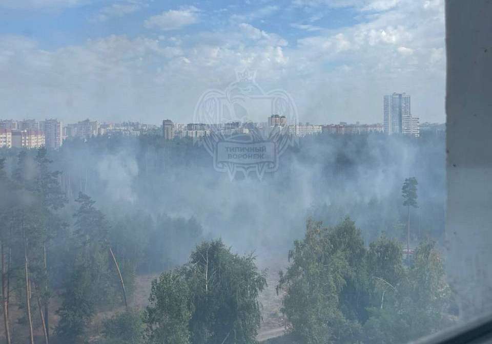 Загорелся лес на улице 9 Января в Воронеже