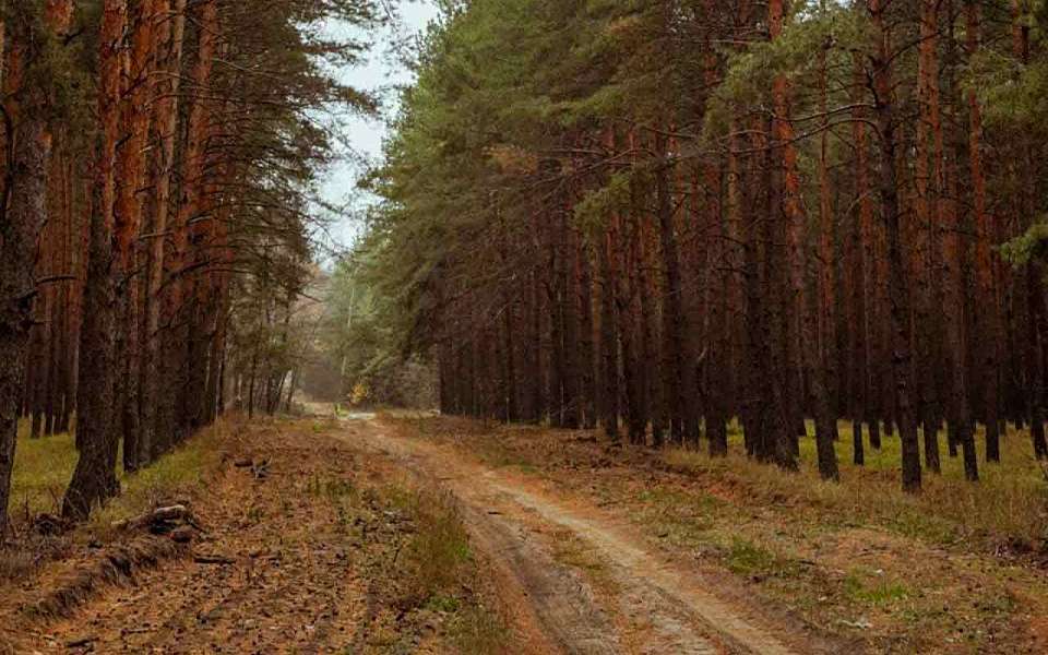 Завершился пожароопасный сезон в Воронежской области