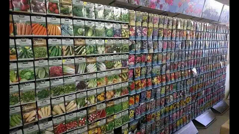 На старте – посадка. У дачников начинается горячая пора – подготовка семян и рассады