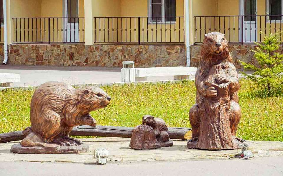 На зимний режим работы перешел Воронежский биосферный заповедник