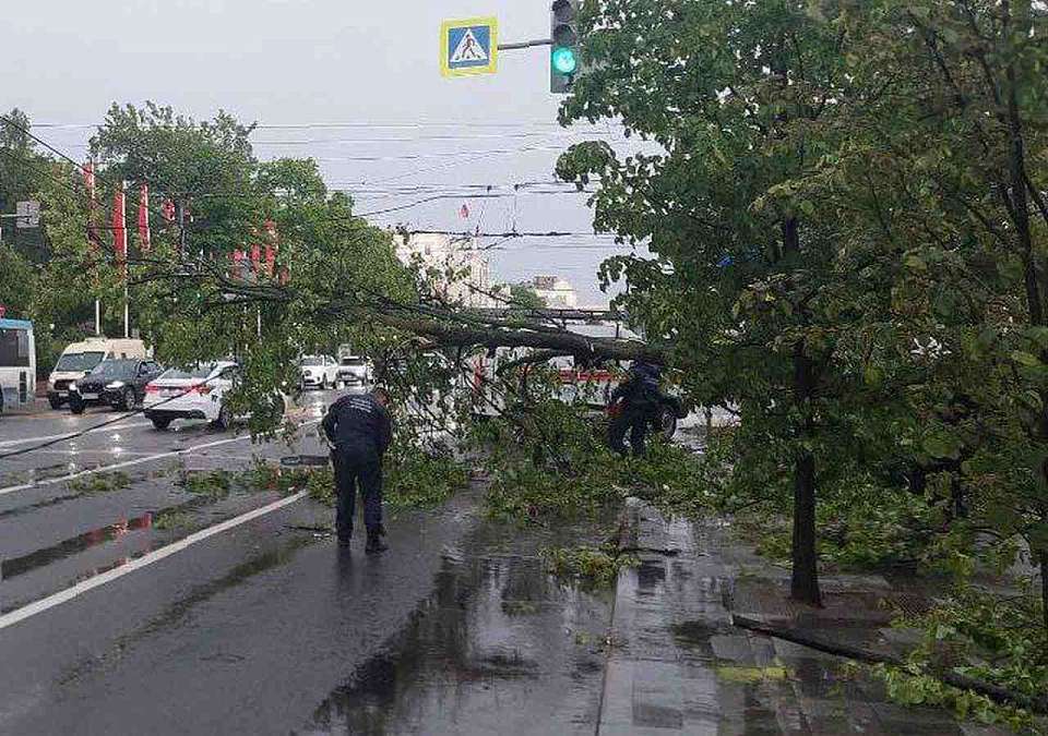 Зафиксировано падение больше 30 деревьев или крупных ветвей в Воронеже