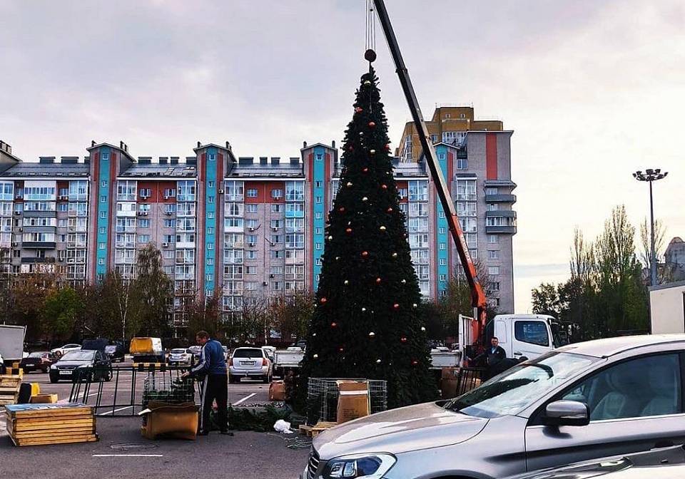  В Воронеже 7 ноября установили первую новогоднюю елку