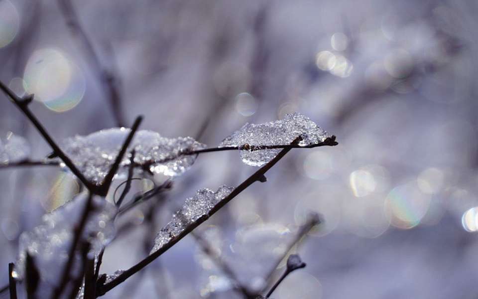 Теплые дни и морозные ночи ожидают воронежцев в предстоящие выходные