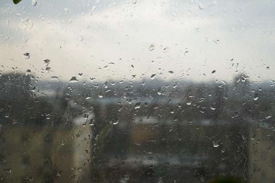 Дождливая и пасмурная погода установится на длинной рабочей неделе в Воронежской области